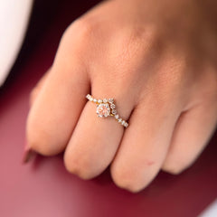 AR-1001